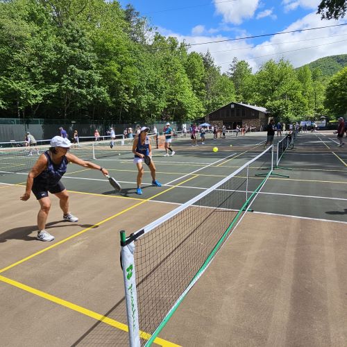 suncoast pickleball training camp in montreat north carolina